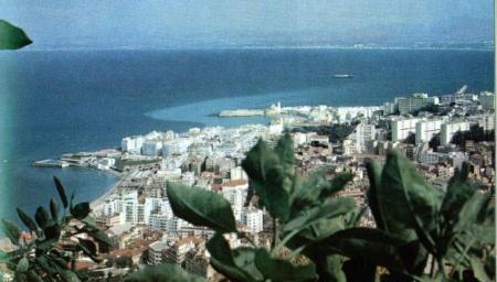 alger