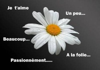 amour